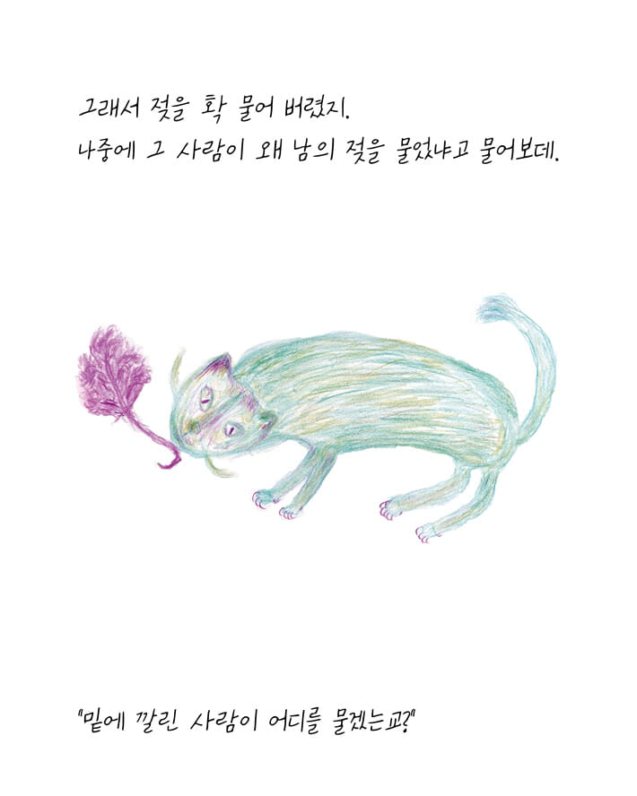 카드뉴스7