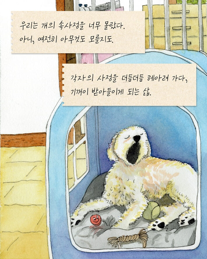 카드뉴스9