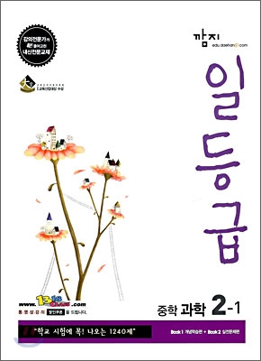 깜지 일등급 중학 과학 2-1 (2009년)