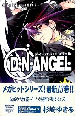 D.N.ANGEL 13