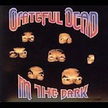 [미국 초판] Grateful Dead - In the Dark (수입)