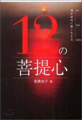 12の菩提心