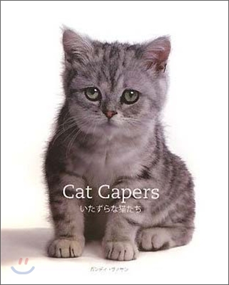 Cat Capers いたずらな猫たち