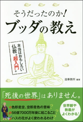 そうだったのか!ブッダの敎え