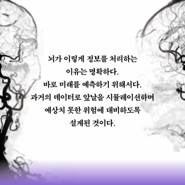 카드뉴스3