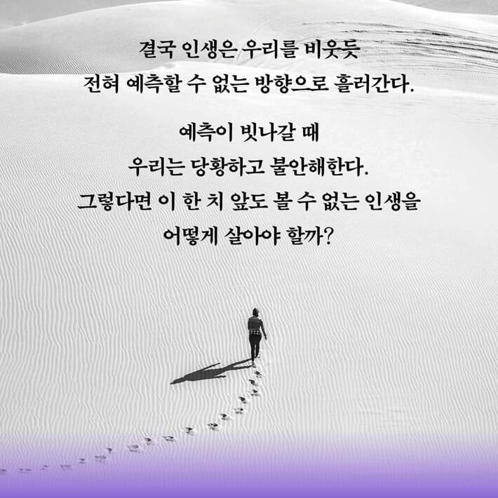 카드뉴스5