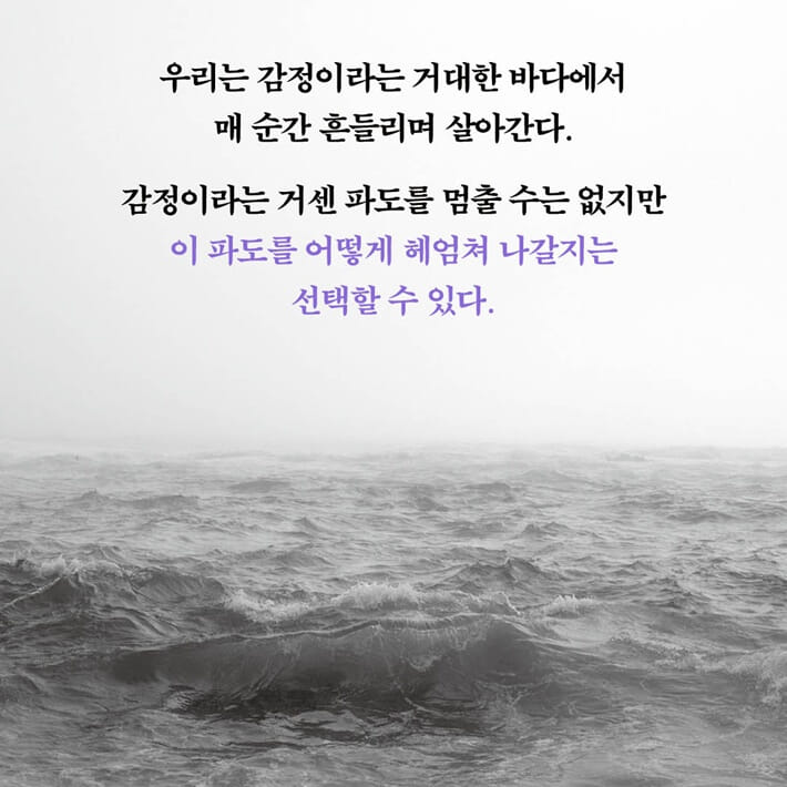 카드뉴스11