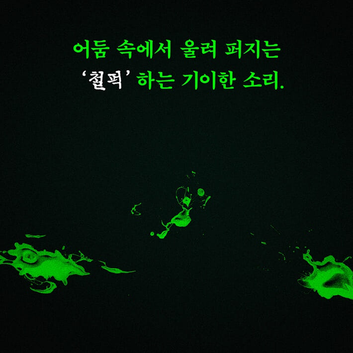 카드뉴스5