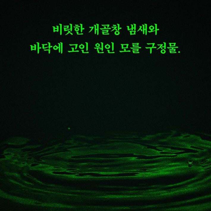 카드뉴스6