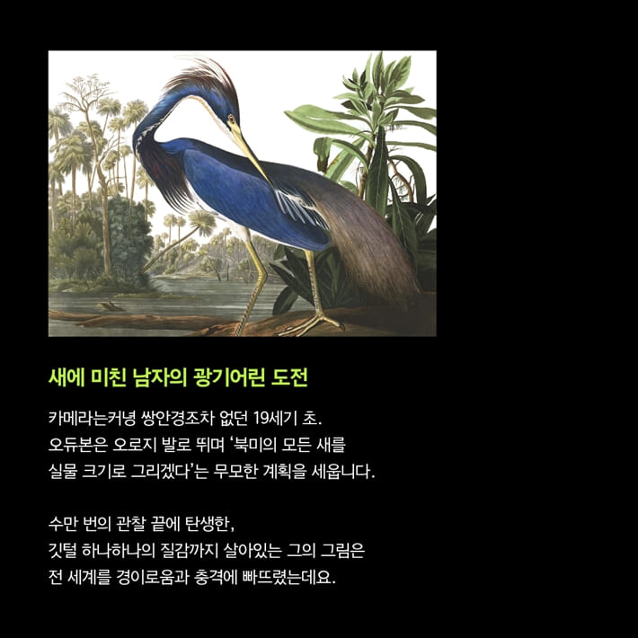 카드뉴스3