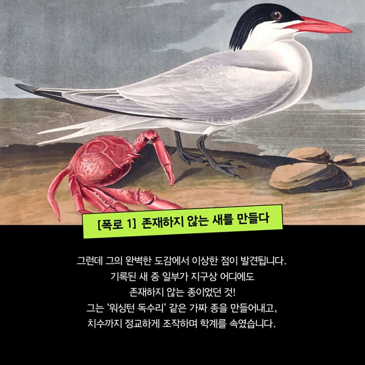 카드뉴스5