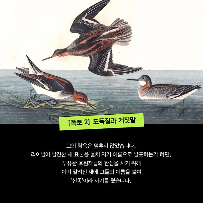카드뉴스6
