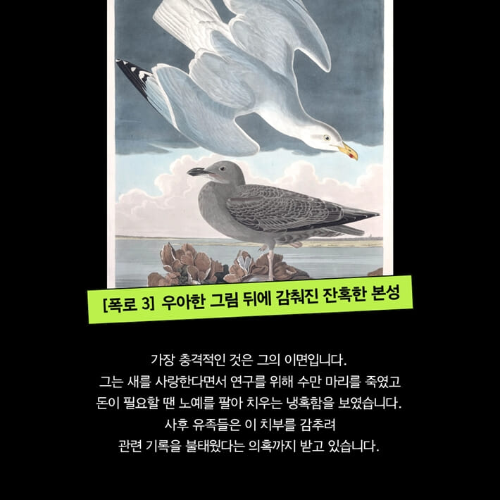 카드뉴스7