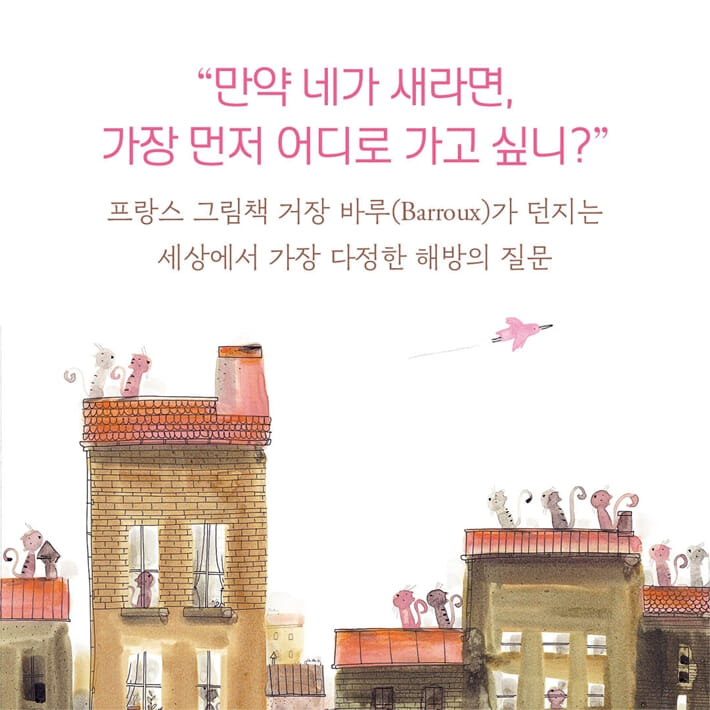 카드뉴스5