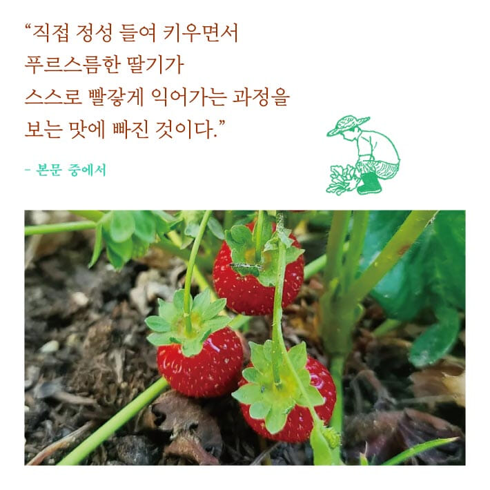 카드뉴스5