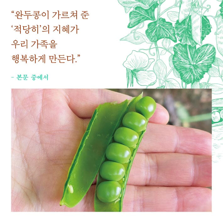 카드뉴스7