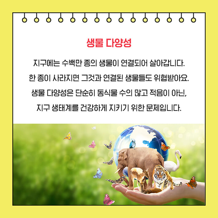 카드뉴스6