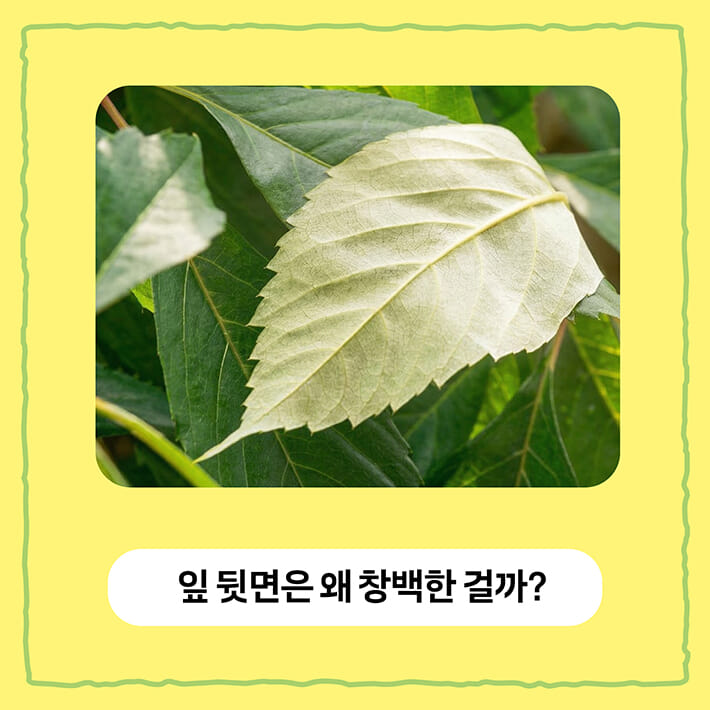 카드뉴스5
