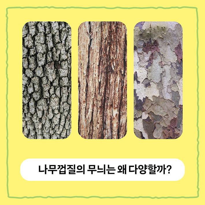카드뉴스6