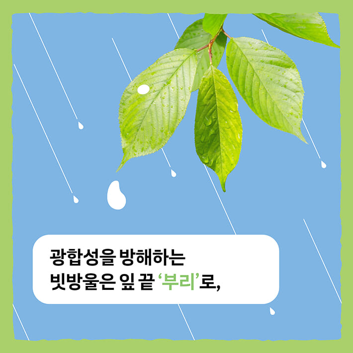 카드뉴스1