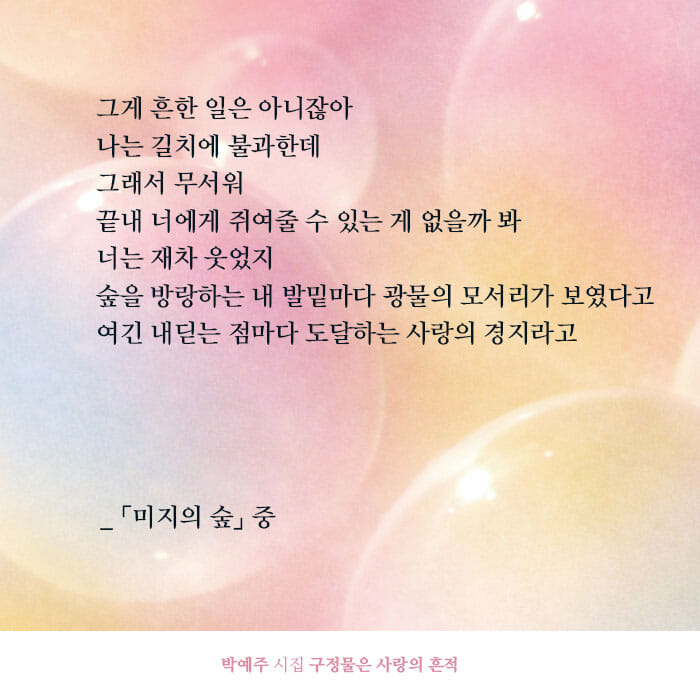 카드뉴스11
