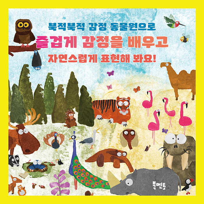 카드뉴스6