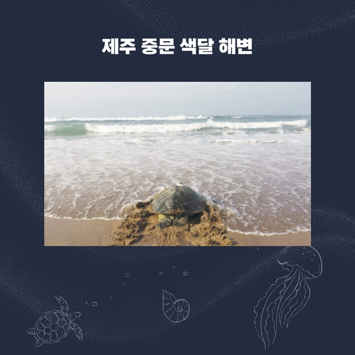 카드뉴스2