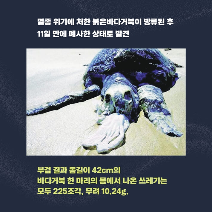 카드뉴스3