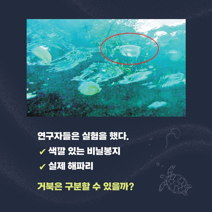 카드뉴스4