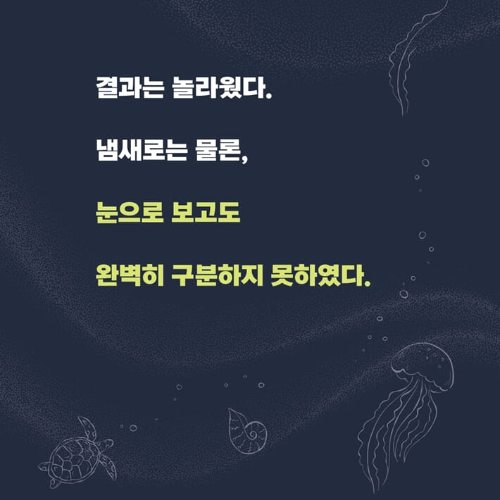 카드뉴스5