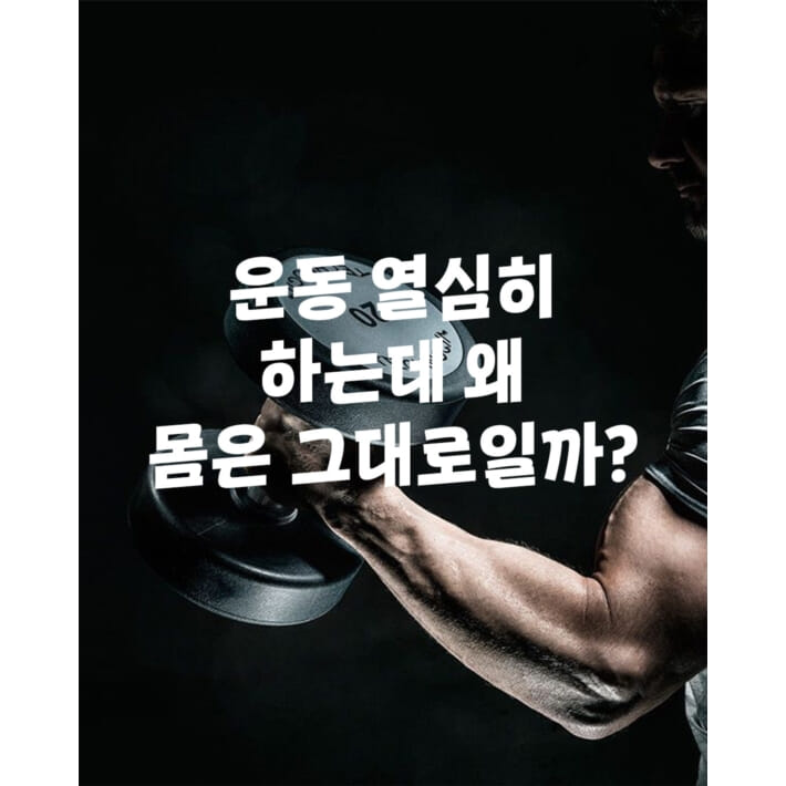 카드뉴스1