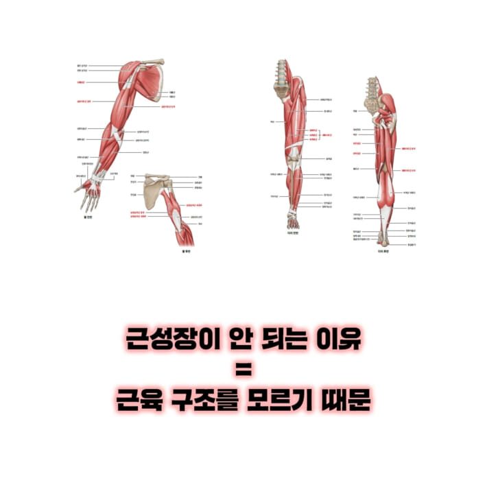 카드뉴스4