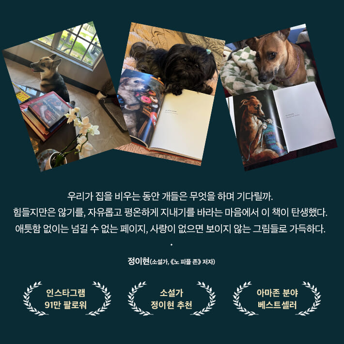 카드뉴스4