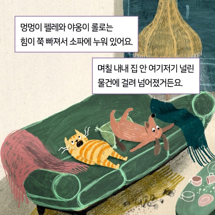 카드뉴스1