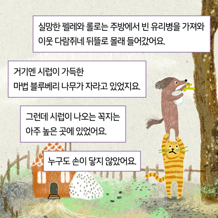 카드뉴스7