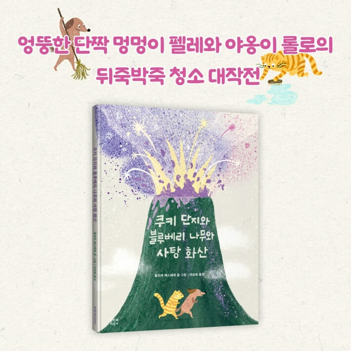 카드뉴스10