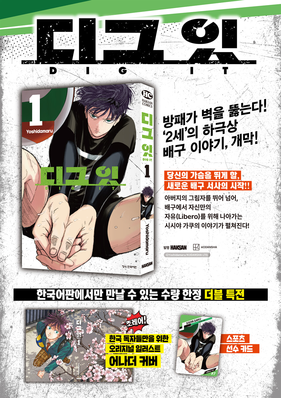 상세 이미지 1