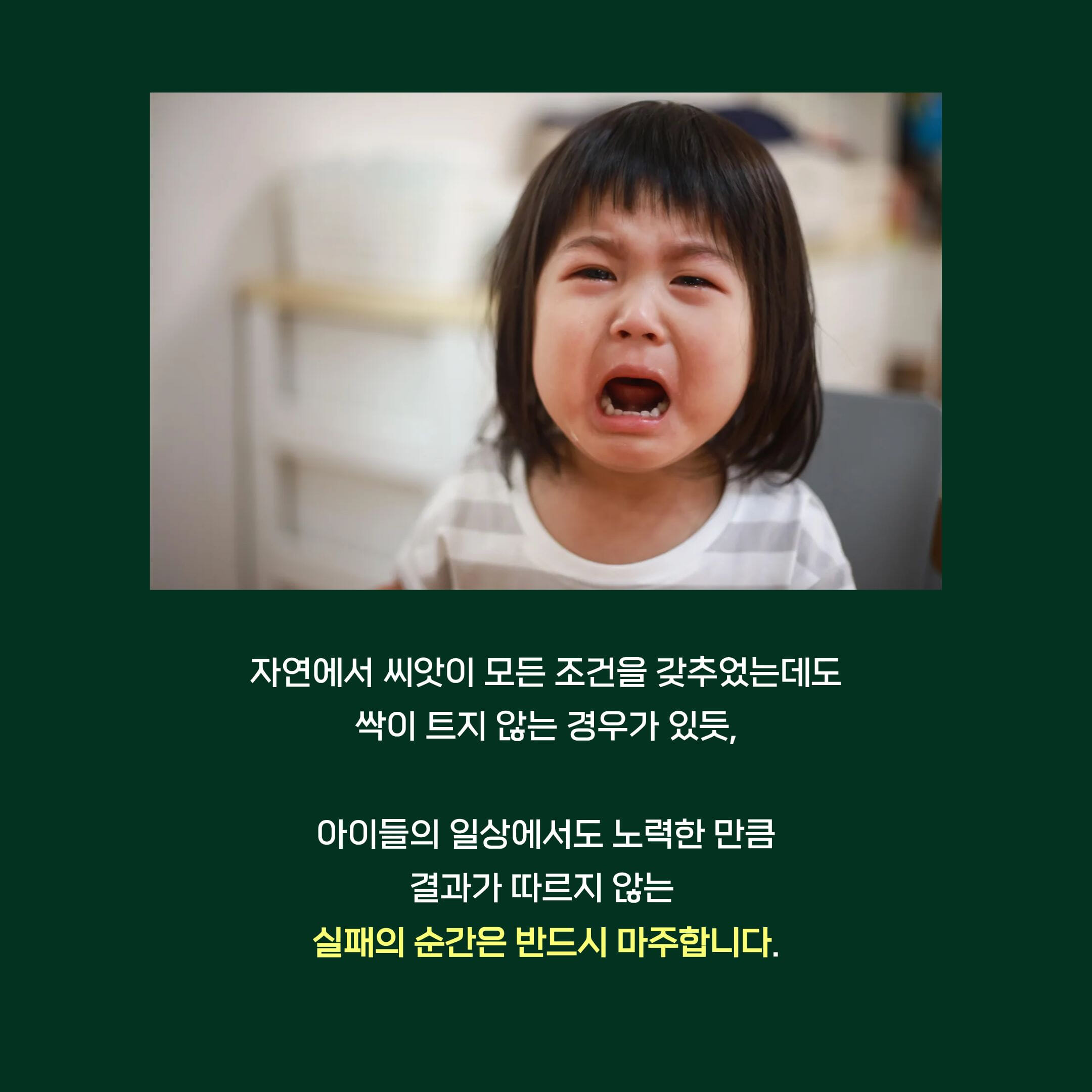 카드뉴스5