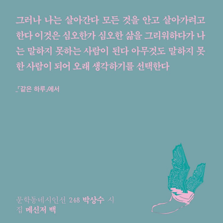 카드뉴스3