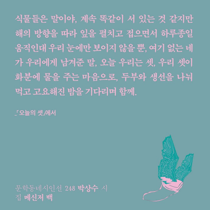 카드뉴스5
