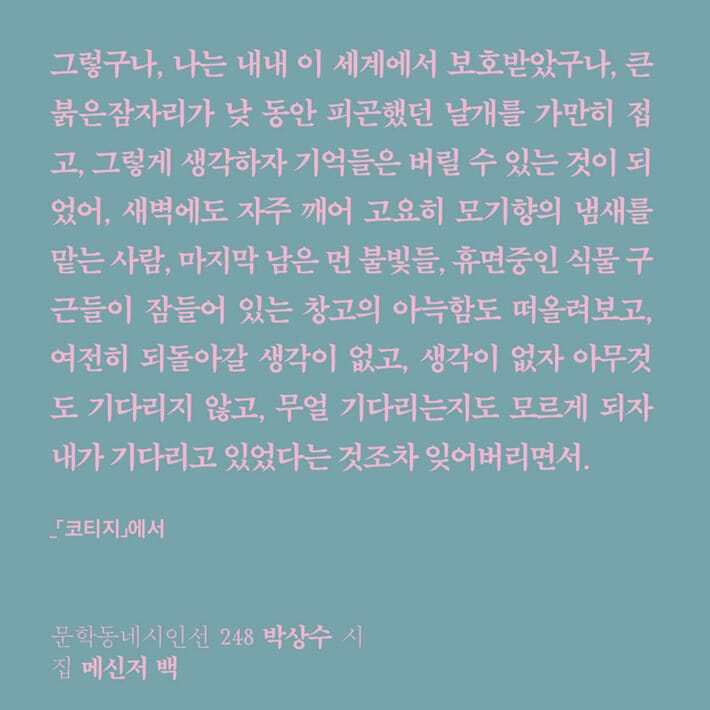 카드뉴스6