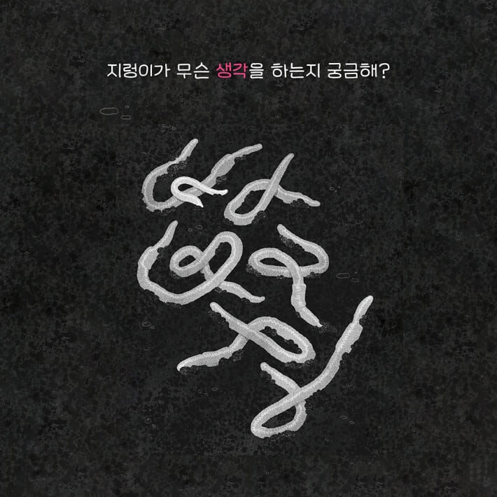 카드뉴스7