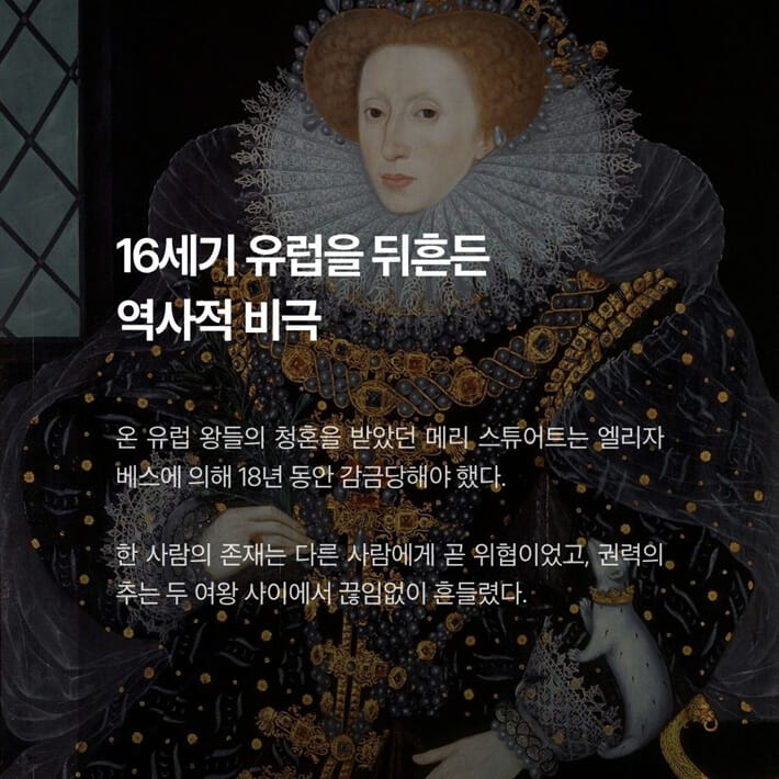 카드뉴스5