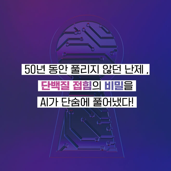 카드뉴스4
