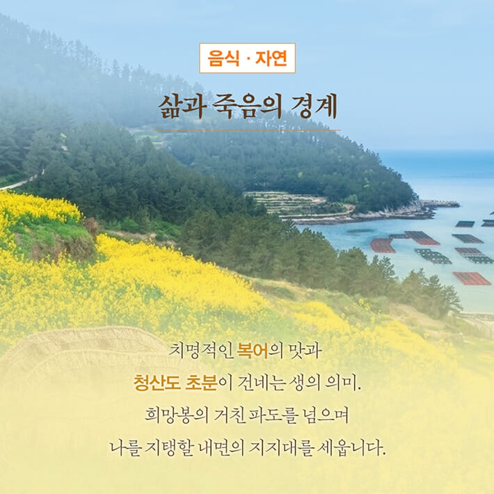 카드뉴스5