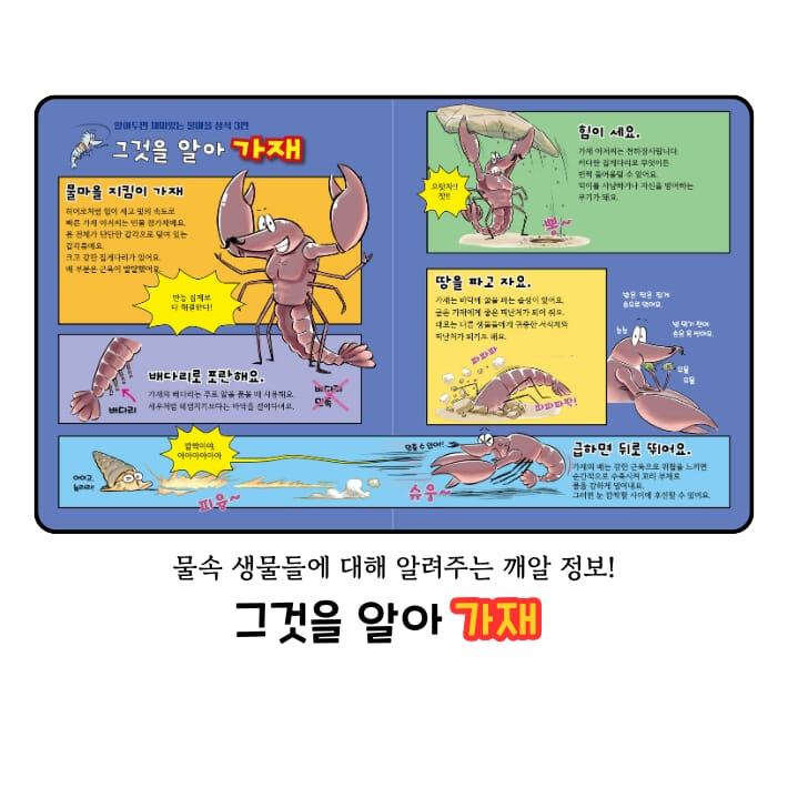 카드뉴스7