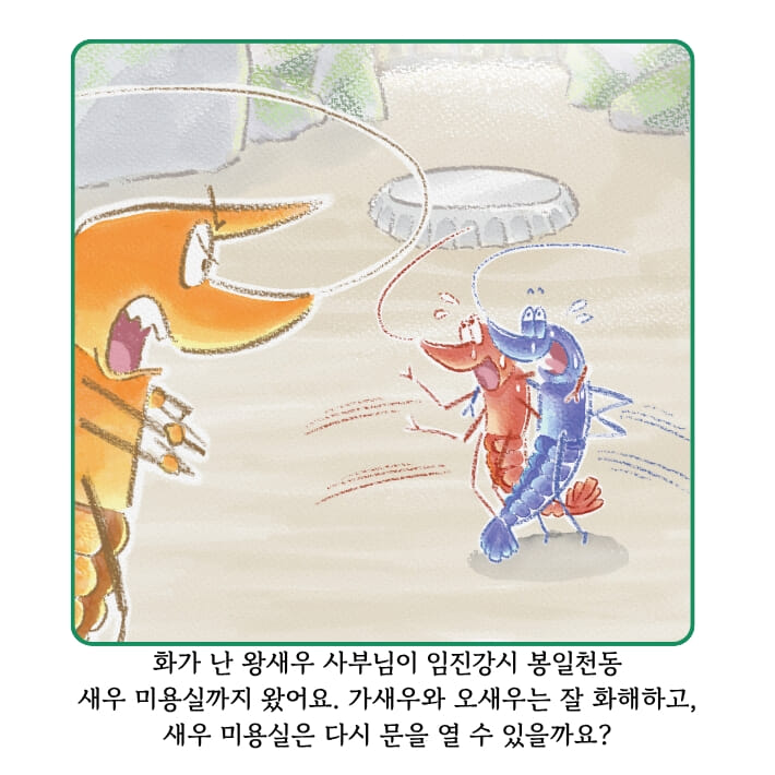 카드뉴스6