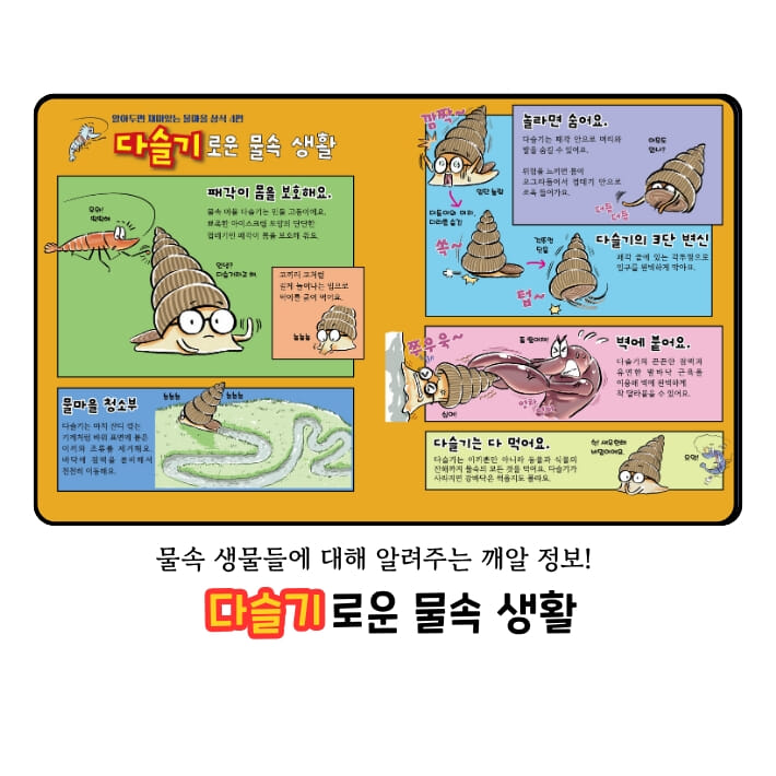 카드뉴스7