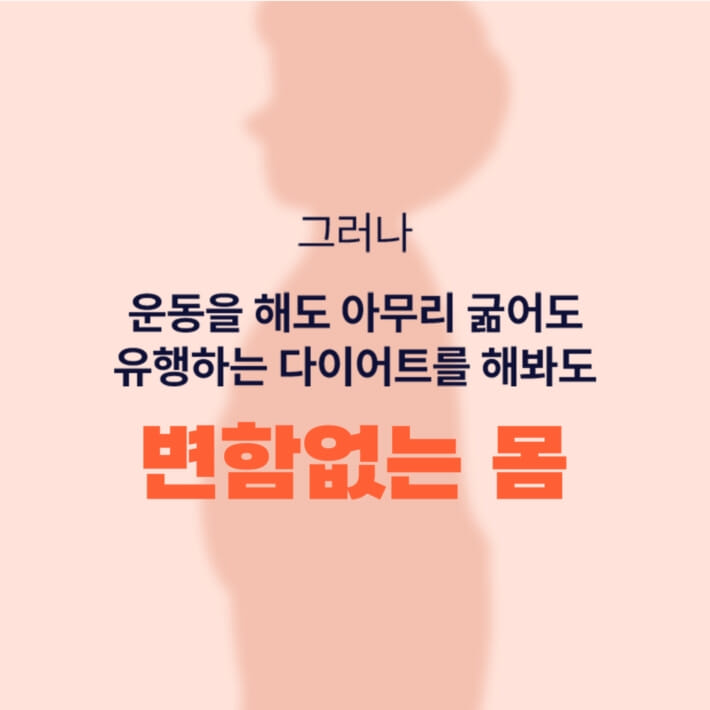 카드뉴스2