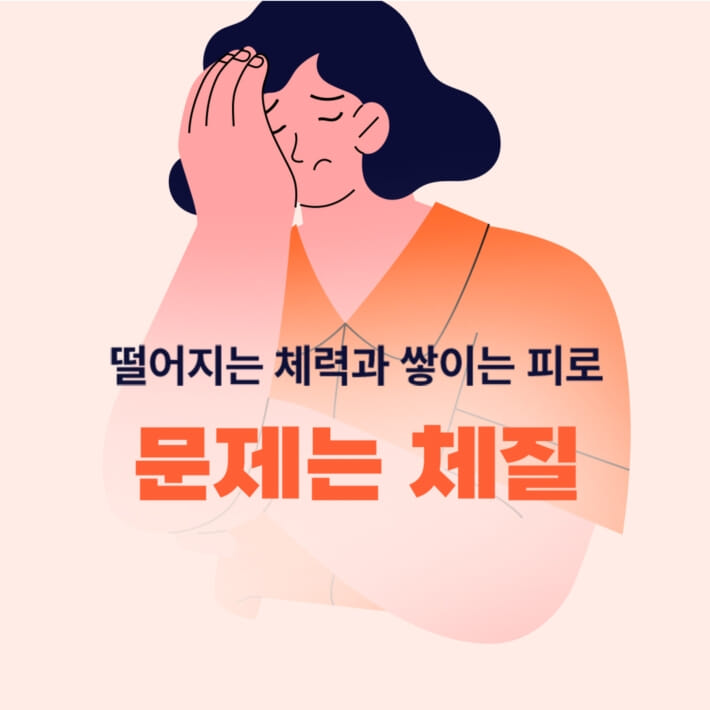 카드뉴스3